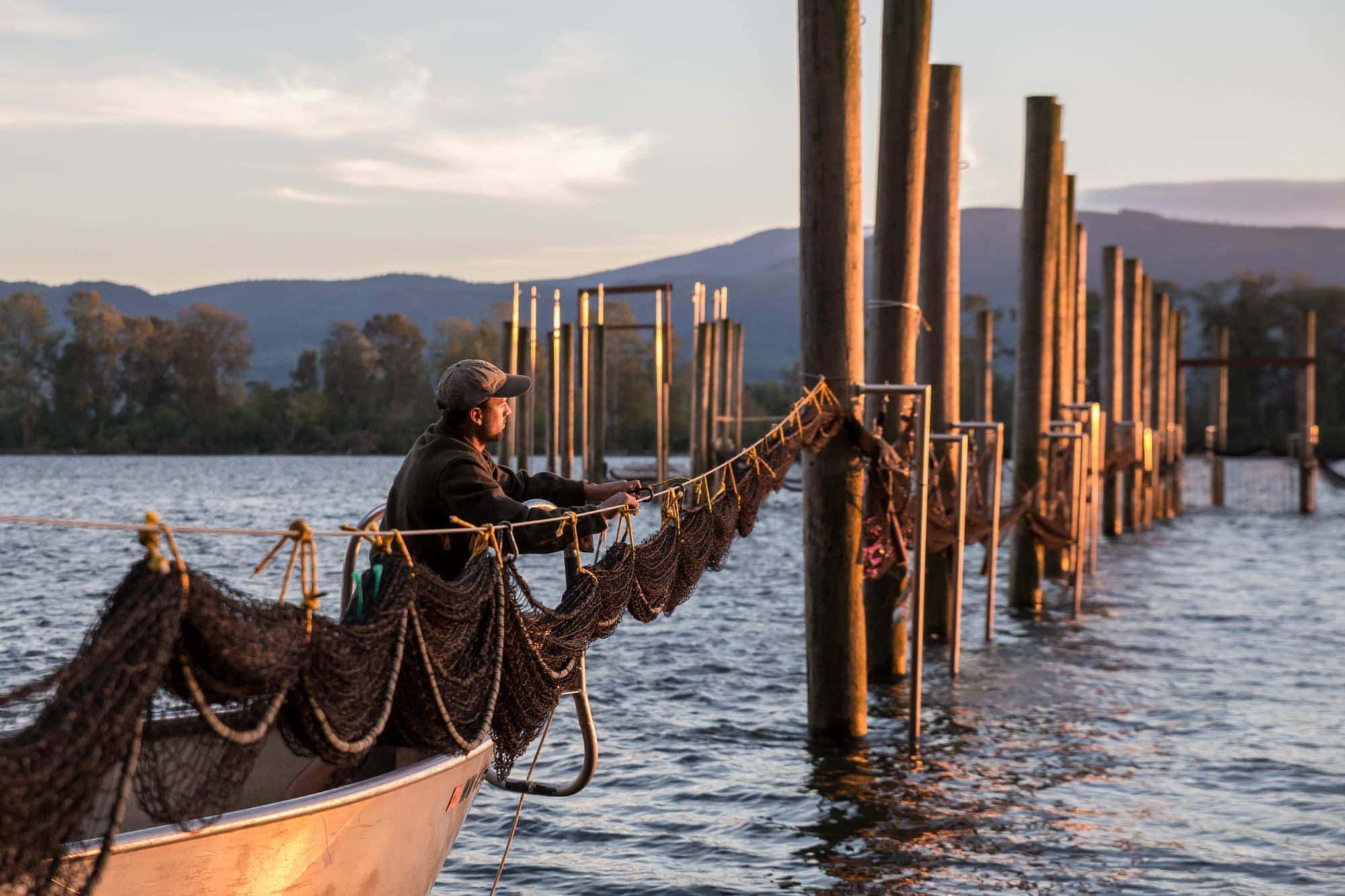 New research shows an ancient fishing tool provides a new solution to  salmon recovery – Wild Fish Conservancy Northwest