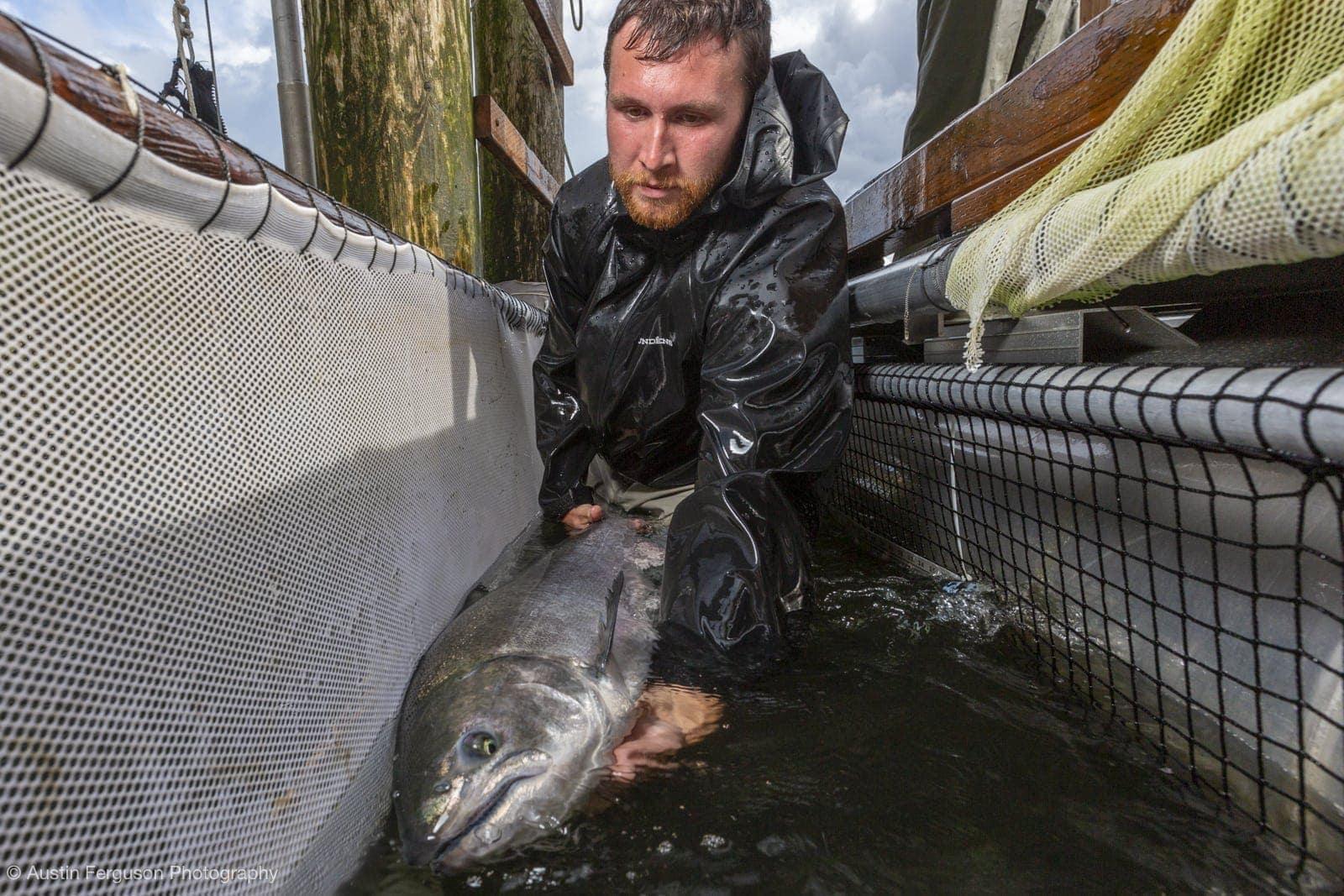 2019 – Wild Fish Conservancy Northwest