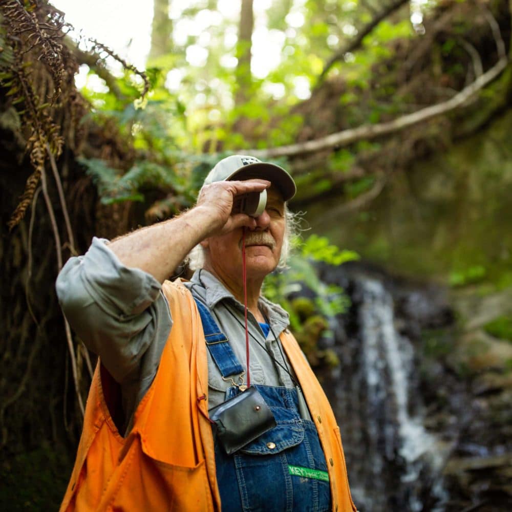 Wfc Map Interactive Maps – Wild Fish Conservancy Northwest