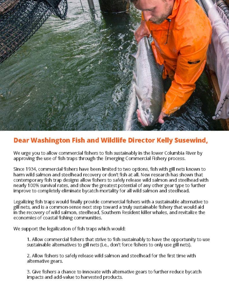Fish Trap Petition to WA Fish and Wildlife Director Kelly Susewind – Wild  Fish Conservancy Northwest