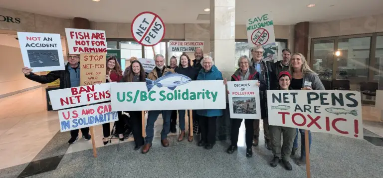 Washington Makes History by Successfully Removing and Permanently Banning Net Pen Aquaculture, Securing Puget Sound for Future Generations