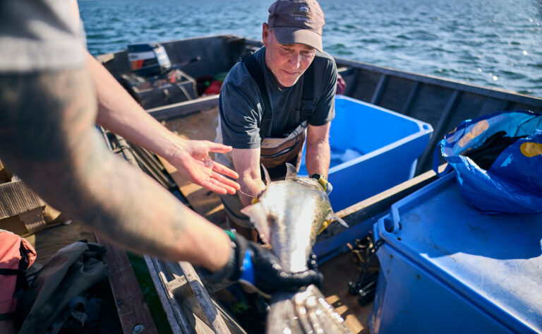 Working Against the Current—A New Experiment Brings Hope for Sustainable Fishing