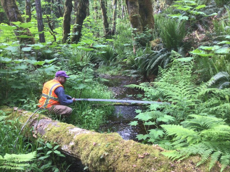 State Water Typing Rules Get an Overdue Refresh