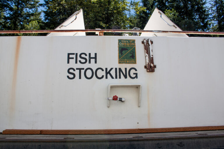 Bonneville Power Administration's Decision to End SAFE Hatchery Funding Marks a Step Toward Wild Fish Recovery