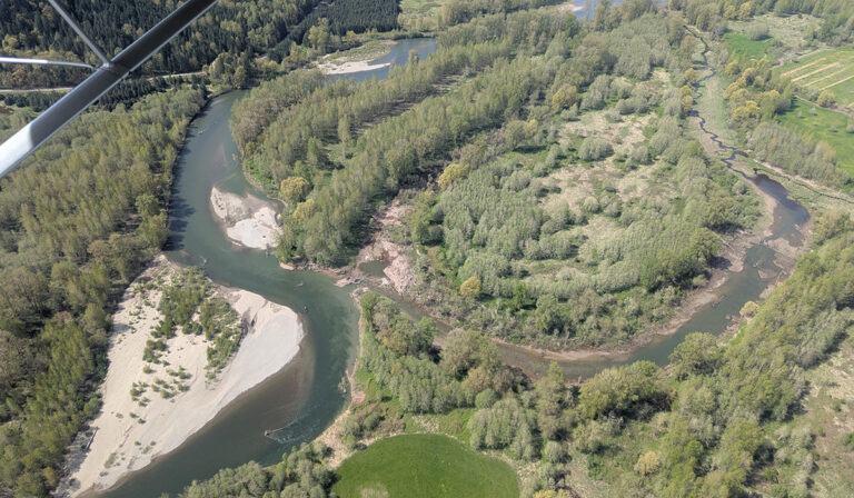 An Update on the Stillwater Floodplain Restoration Project