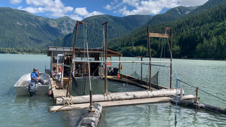 Selective Fishing Innovations: A Breakthrough Season for the Skeena River Floating Fish Trap Project