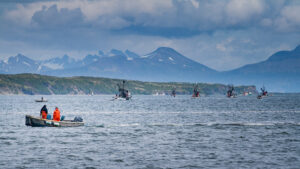 Alaska fishers, like these purse seiners on the Alaska Peninsula, aren't to blame for management that leaves ESA-listed Chinook unaccounted for. Fishers follow the rules they're given; this legal action targets the management responsible for those rules. Photo by Conrad Gowell.
