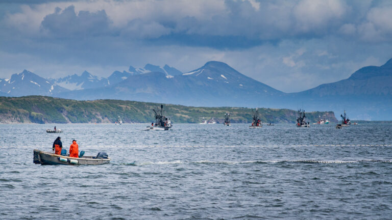 Wild Fish Conservancy Serves Notice of Intent to Sue Over Alaska Fisheries Catching Threatened and Endangered Pacific Northwest Chinook Without Federal Oversight